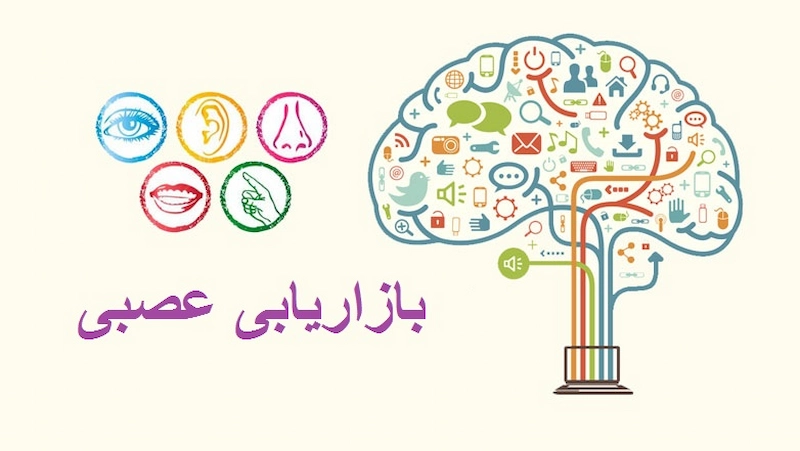 بازاریابی عصبی